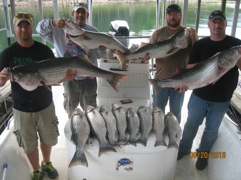 Nice Striped Bass
